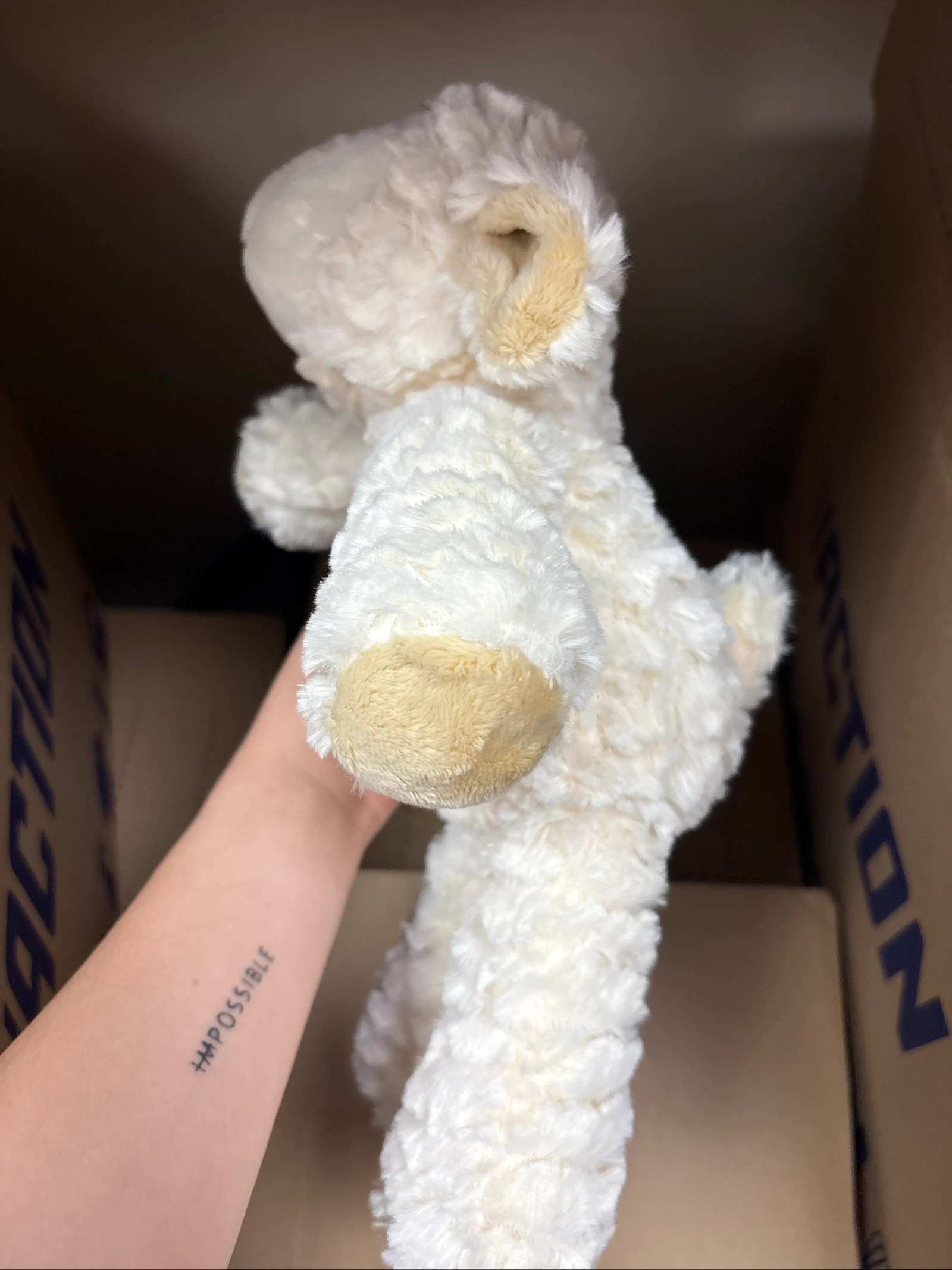 Doudou – photo 3